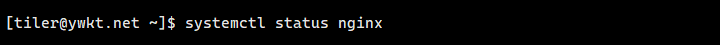 nginx